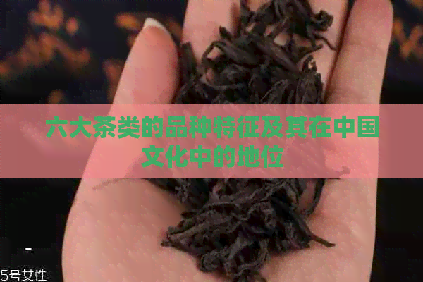 六大茶类的品种特征及其在中国文化中的地位