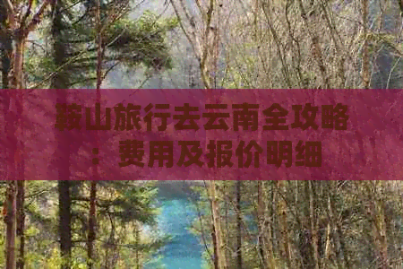 鞍山旅行去云南全攻略：费用及报价明细