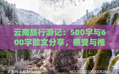 云南旅行游记：500字与600字散文分享，感受与推荐