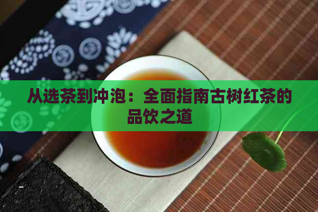 从选茶到冲泡：全面指南古树红茶的品饮之道