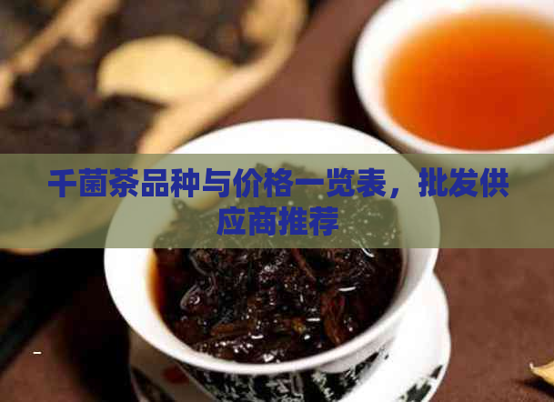 千菌茶品种与价格一览表，批发供应商推荐