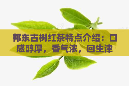 邦东古树红茶特点介绍：口感醇厚，香气浓，回生津，耐泡不涩。