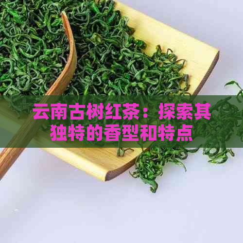 云南古树红茶：探索其独特的香型和特点