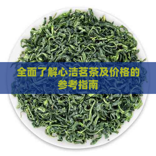 全面了解心洁茗茶及价格的参考指南