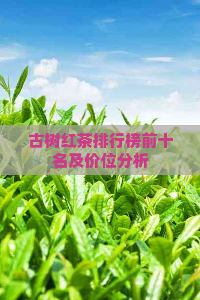 古树红茶排行榜前十名及价位分析