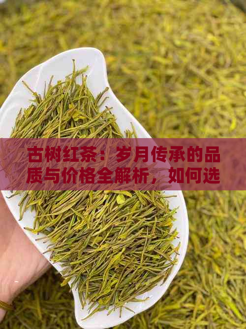 古树红茶：岁月传承的品质与价格全解析，如何选择适合您的红茶？