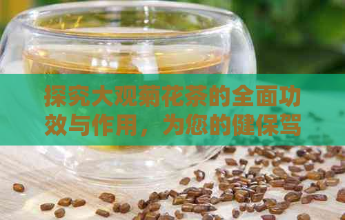 探究大观菊花茶的全面功效与作用，为您的健保驾护航