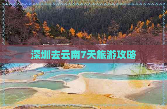 深圳去云南7天旅游攻略