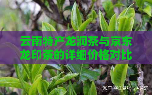 云南特产龙润茶与京东龙印茶的详细价格对比及品鉴指南