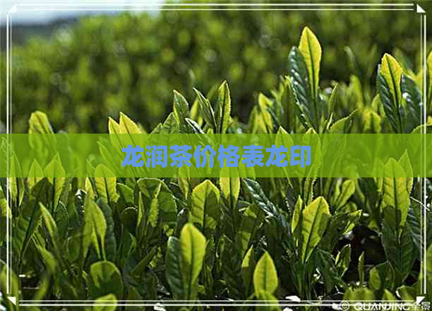 龙润茶价格表龙印