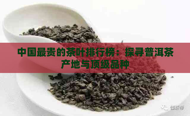 中国最贵的茶叶排行榜：探寻普洱茶产地与顶级品种