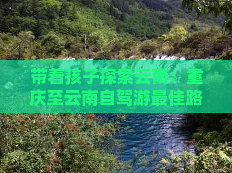 带着孩子探索云南：重庆至云南自驾游更佳路线与必去景点推荐