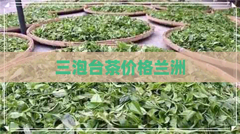 三泡台茶价格兰洲