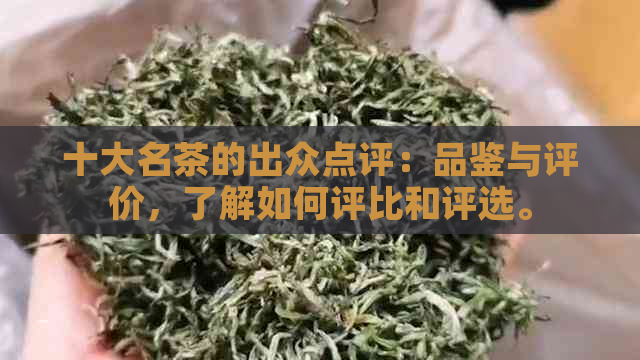 十大名茶的出众点评：品鉴与评价，了解如何评比和评选。