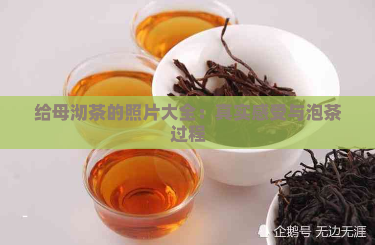 给母沏茶的照片大全：真实感受与泡茶过程