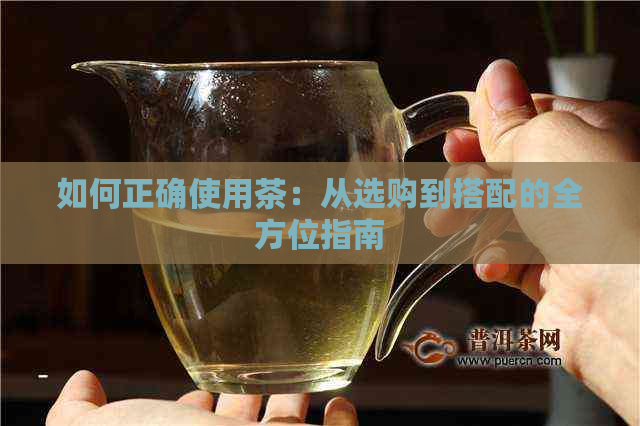 如何正确使用茶：从选购到搭配的全方位指南