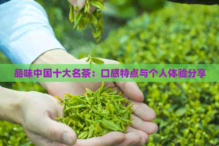 品味中国十大名茶：口感特点与个人体验分享