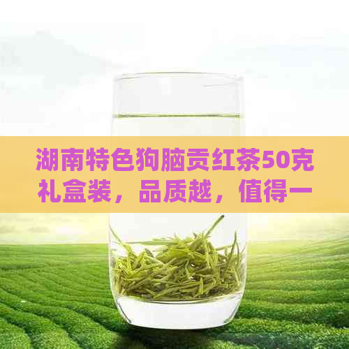 湖南特色狗脑贡红茶50克礼盒装，品质越，值得一品