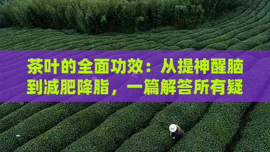 茶叶的全面功效：从提神醒脑到减肥降脂，一篇解答所有疑问