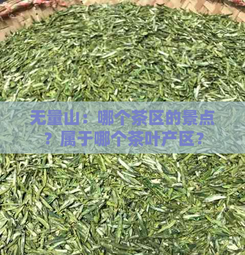 无量山：哪个茶区的景点？属于哪个茶叶产区？