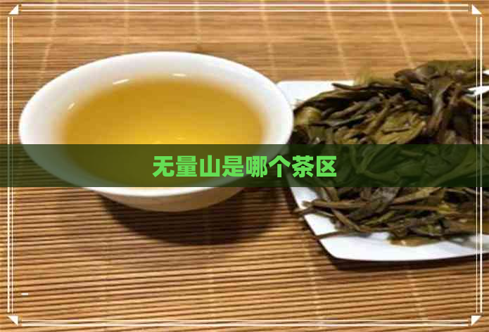 无量山是哪个茶区