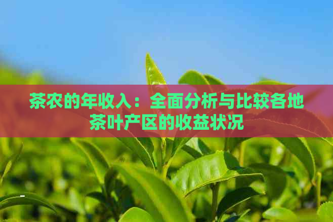 茶农的年收入：全面分析与比较各地茶叶产区的收益状况