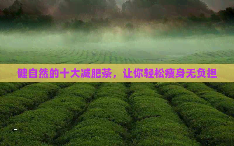 健自然的十大减肥茶，让你轻松瘦身无负担