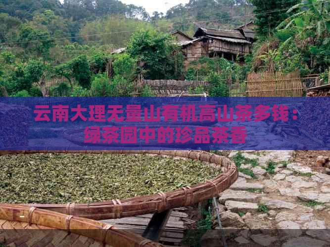 云南大理无量山有机高山茶多钱：绿茶园中的珍品茶香