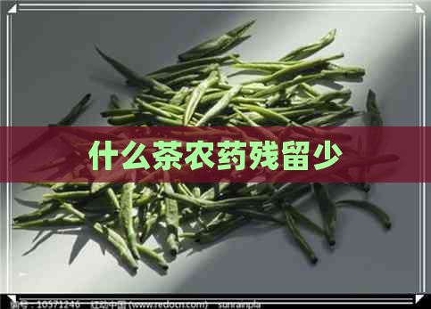 什么茶农药残留少