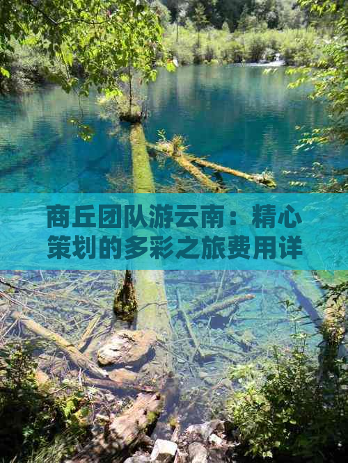 商丘团队游云南：精心策划的多彩之旅费用详解