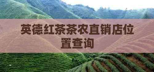 英德红茶茶农直销店位置查询