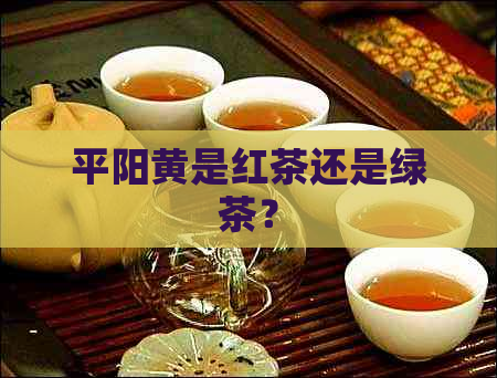 平阳黄是红茶还是绿茶？