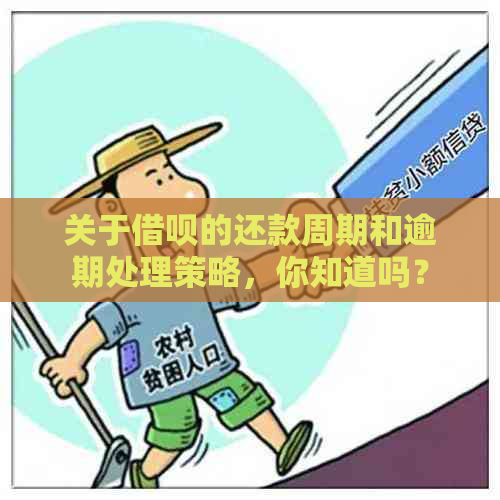 关于借呗的还款周期和逾期处理策略，你知道吗？