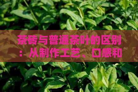 茶砖与普通茶叶的区别：从制作工艺、口感和保存方式来全面解析