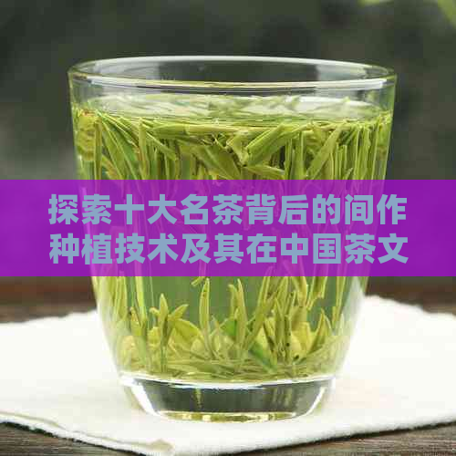 探索十大名茶背后的间作种植技术及其在中国茶文化中的独特地位