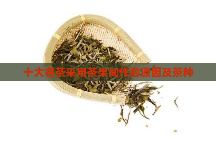 十大名茶采用茶果间作的原因及茶种