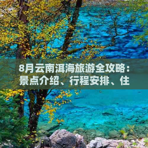 8月云南洱海旅游全攻略：景点介绍、行程安排、住宿与交通指南一应俱全