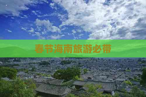 春节海南旅游必带