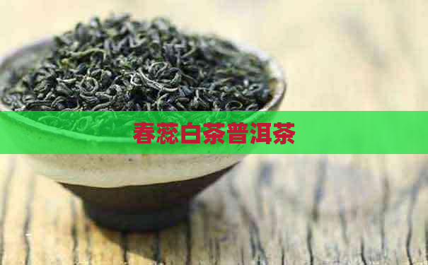 春蕊白茶普洱茶