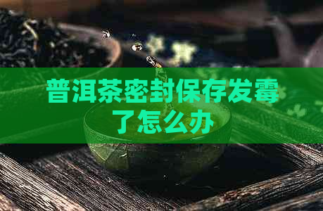 普洱茶密封保存发霉了怎么办