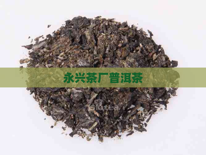 永兴茶厂普洱茶