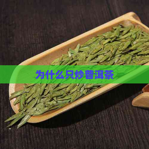 为什么只炒普洱茶