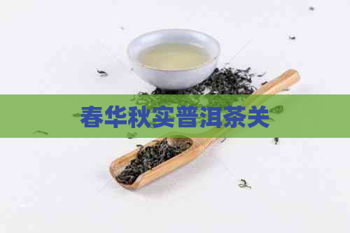 春华秋实普洱茶关