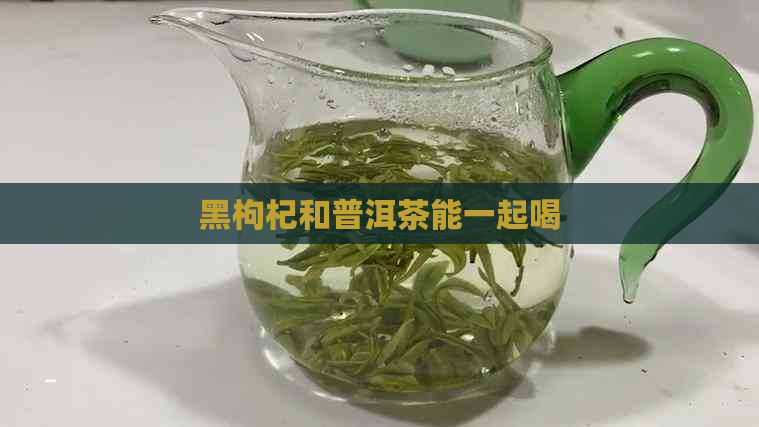 黑枸杞和普洱茶能一起喝