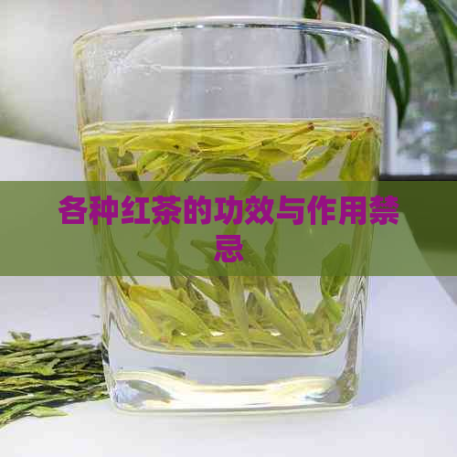 各种红茶的功效与作用禁忌