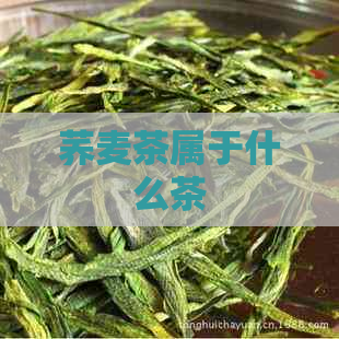 荞麦茶属于什么茶