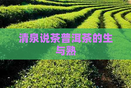 清泉说茶普洱茶的生与熟