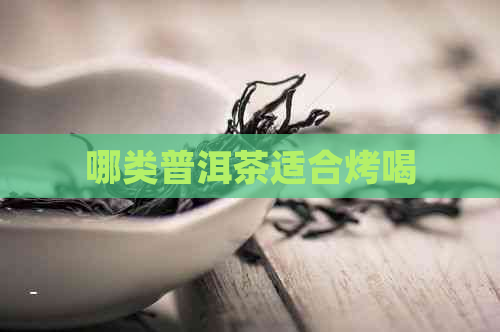 哪类普洱茶适合烤喝