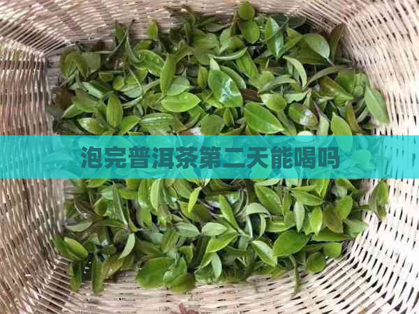 泡完普洱茶第二天能喝吗