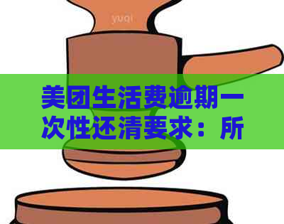 美团生活费逾期一次性还清要求：所有欠款必须一次性还清吗？